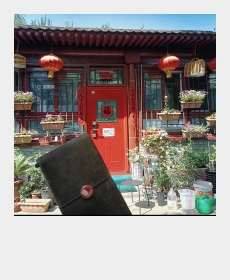 带着TN去旅游