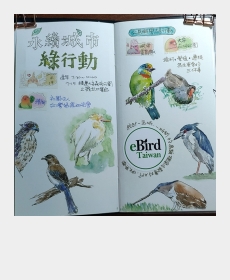 鳥の絵
