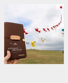 International Kite Festival in Hsinchu.