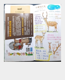 Formosan sika deer