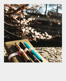 Travel with my Olive edition tn