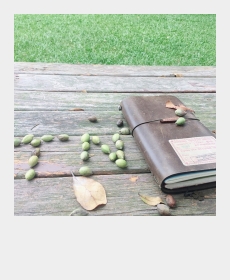 Olives