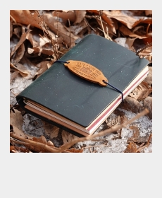 Journal with My New Camera