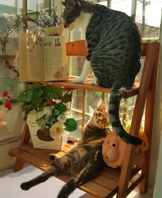 読書感想文