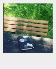 本当に旅に連れていきたい
