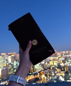 Osaka night view with TN from Umeda Sky Building
