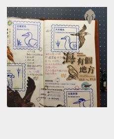 Bird of Taiwan North Coast Special