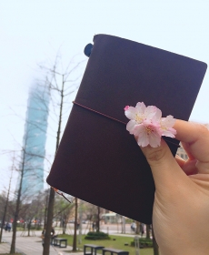 @Taipei 101, Taiwan