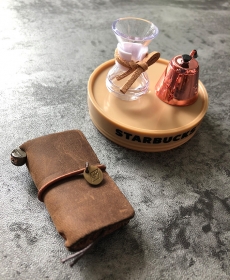 Mini TN and its companion