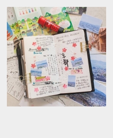 The journal of my Kyoto Trip at last year!