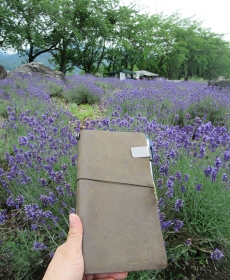 想念2019的夏天，我和我的 TRAVELER&#039;S notebook