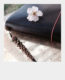 MY TN &quot;Braid&rdquo; and &ldquo;Taiwan Sakura&rdquo;! 