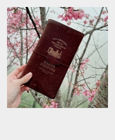 帶著TN去旅行