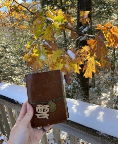 From autumn to winter