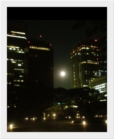 6月のある夜