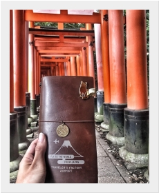Climb together with TN in Fushimi Inari Taisha Kyoto
