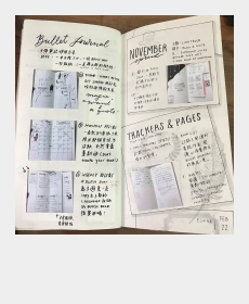 How I use the bullet journal with different themes