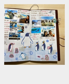 Penguin day! 