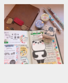 My TN diary