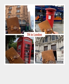 TN in London・UK