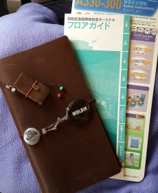 Safe flight with my TN