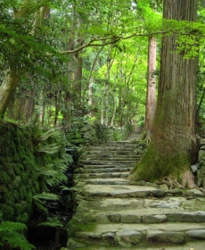 京都　高山寺