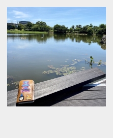 蘭陽博物館