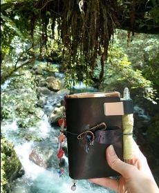 祝大家平安健康～