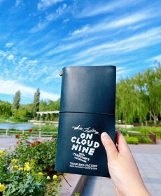 ON CLOUD NINE 