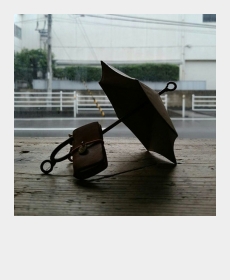 雨も楽しまなくっちゃ