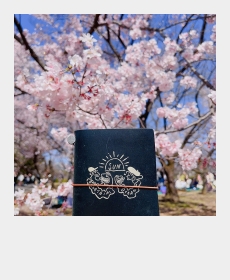春天默默的來臨了
