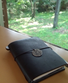 万緑の中のカフェ