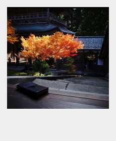 福井県 永平寺へ