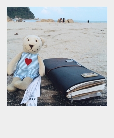 My IKEA bear and TN