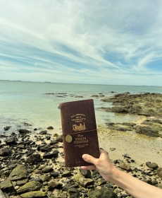 帶著TN去旅行 Travel along with TN 