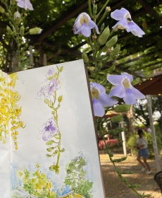 The Floresence.
