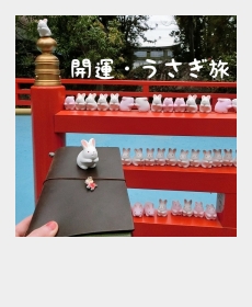 『開運・うさぎ旅』