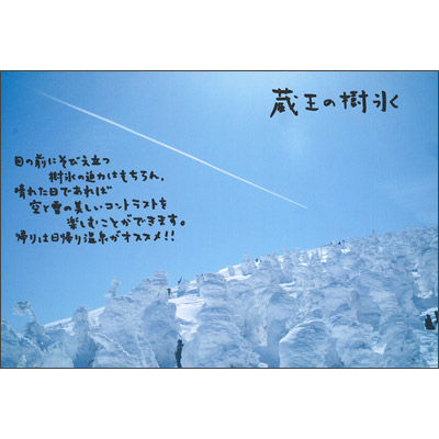 山形県　山形市　「蔵王の樹氷」